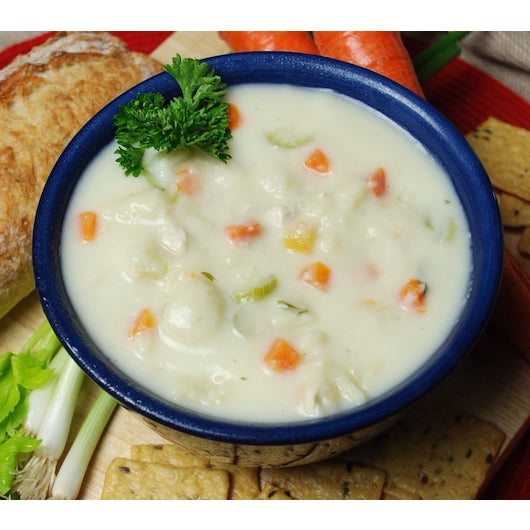 Taste Traditions CHICKEN WITH DUMPLING Soup, 2 x 8 lb Case - DOT product image 5