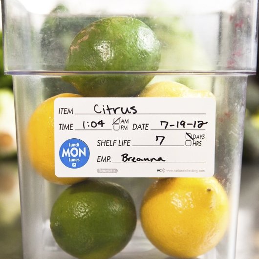NCCO National Checking 2X4 Removable Shelf Life Labels, 1 x 500 each Case - DOT product image 3