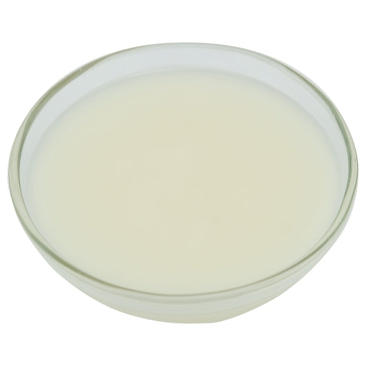 Chuckles Jelly Candy Glaze 'N Shine Food Glaze, 1 x 40 lb Case - DOT product image 7