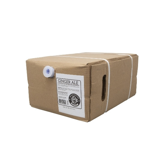 Boylan Bottling Bag-in-Box Ginger Ale Soda, 1 x 5 GA Case - DOT product image 2