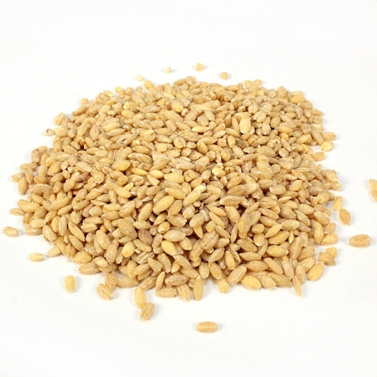 Commodity Beans Pearl Barley Bean Bulk, 1 x 25 lb Case - Rice & Grains