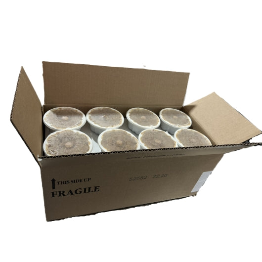 Chudleighs Sticky Butter STICKY TOFFEE Pudding CAKE, 32 x 32 x 5 oz Case - DOT product image 2
