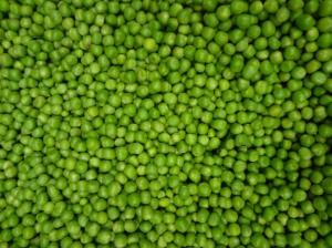 Commodity Canned Fruit & Vegetables Peas Fancy 10can (PACK OF 6)