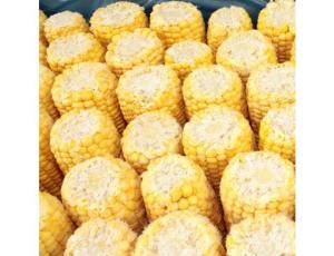 Commodity Vegetables Corn Cob, 5 inch - 48 per case.