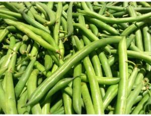 Commodity Vegetables Whole Green Bean, 2 Pound - 12 per case.