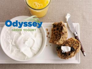 Odyssey Plain Greek Yogurt 45lbs (PACK OF 1)