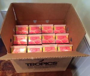 Tropics Pomegranate Drink Mix, 32 Fluid Ounce - 4 per case.