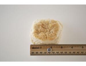 General Mills Easy Split Golden Buttermilk Biscuit (2.25 Oz, 120 Per Case)