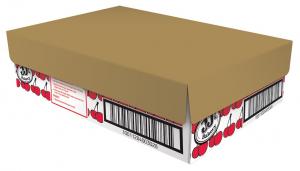 JJs Cherry Pie Dessert - 48 per case.