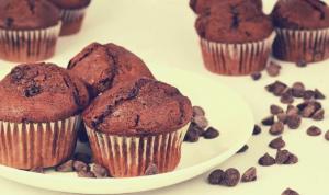 Foxtail Foods Simply Scoop Chocolate Chocolate Chip Muffin Batter, 18 Pound - 1 each.