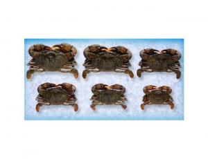 Handy Soft Shell Wild Caught Crab, 2.1 Ounce - 72 per case.