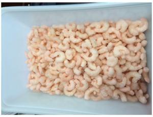 Frozen Seafood Cooked Tail Off White Shrimp, 2 Pound - 5 per case.