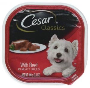 Cesar Wet Dog Food Gourmet Classics Beef Holiday Collection 3.5oz (PACK OF 24)