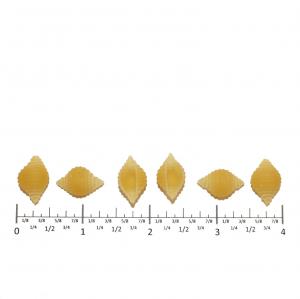 Pasta Monata Costa Shelf Stable Shell Small 20lbs (PACK OF 1)