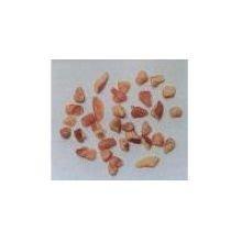 Pecans SunflowerKernals Small Piece Fancy Raw Pecan, 5 Pound --