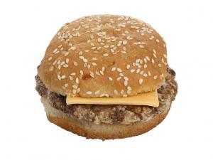 Day N Night Bites Jalapeno Cheeseburger Entree 4.8oz (PACK OF 12)