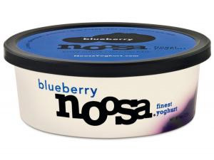Noosa Blueberry Yoghurt (PACK OF 12)