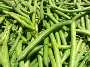 Commodity Canned Fruit & Vegetable Standard 4 Sieve Green Bean 10can (PACK Of 6)