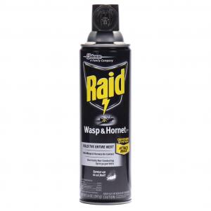 Raid Wasp & Hornet Killer, 14 Ounce (12 Pack)