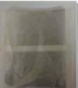 Luzianne Tea Ready to Brew Filter Packs 3 oz. (Pack of 32)