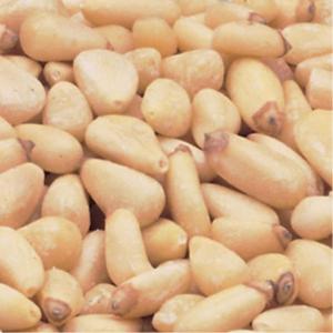 Azar Pine Nuts with Pignolias, Raw, 5-Pound
