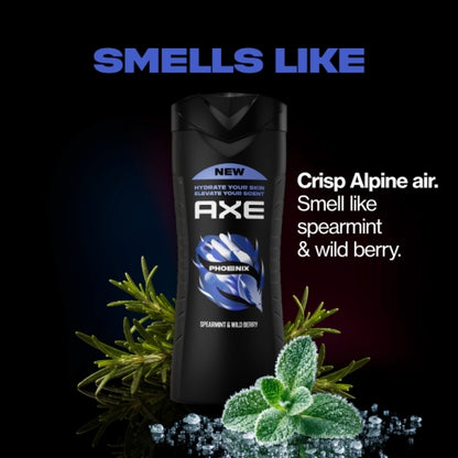 Axe Dark Temptation Body Wash, 4 x 16 fl oz Case - Unclassified DOT image