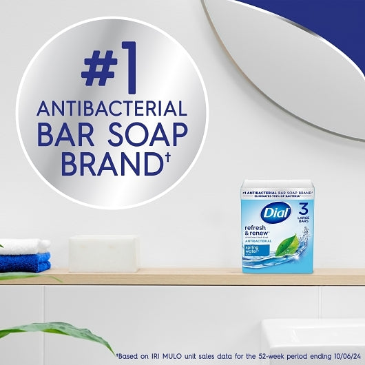 Dial Bar Soap Spring Water, 12 x 12 oz Case - DOT product image 7
