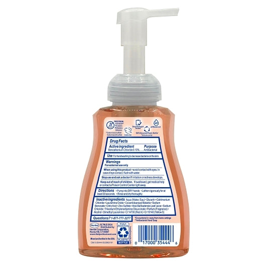 Dial Antibacterial Defense Foaming Hand Wash With Aloe Original Scent, 8 x 10 fl oz Case - Health & Personal Care - imag