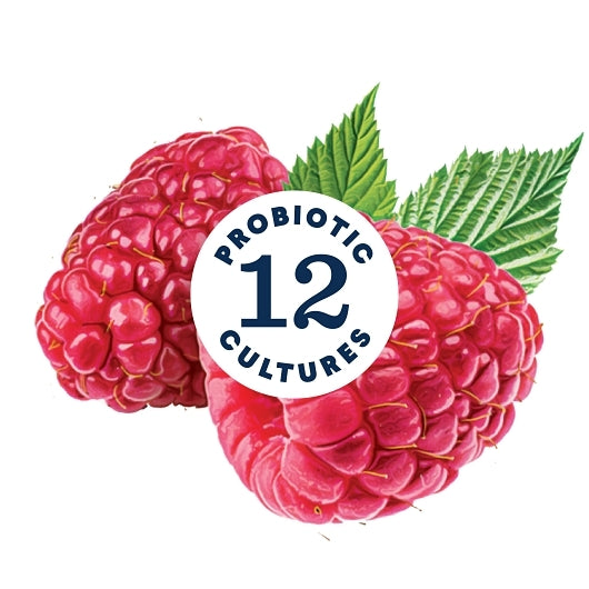 Lifeway RASPBERRY LOW FAT KEFIR, 6 x 8 fl oz Case - DOT product image 5