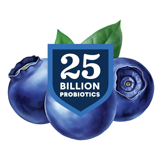 Lifeway KEFIR BLUEBERRY LOW FAT YOGURT LIKE, 6 x 8 fl oz Case - DOT product image 4