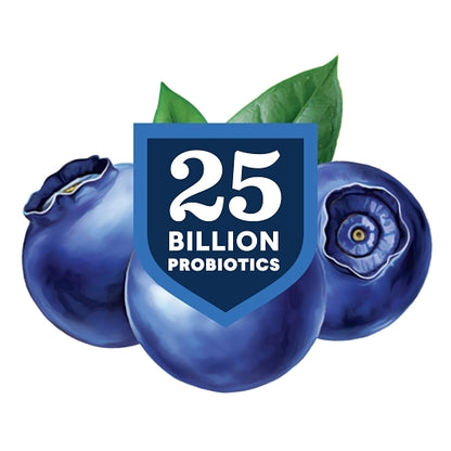 Lifeway KEFIR BLUEBERRY LOW FAT YOGURT LIKE, 6 x 8 fl oz Case - DOT product image 4