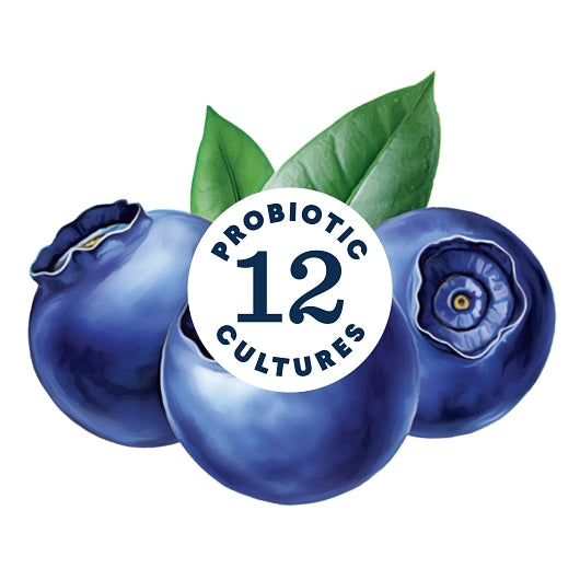 Lifeway KEFIR BLUEBERRY LOW FAT YOGURT LIKE, 6 x 8 fl oz Case - DOT product image 5