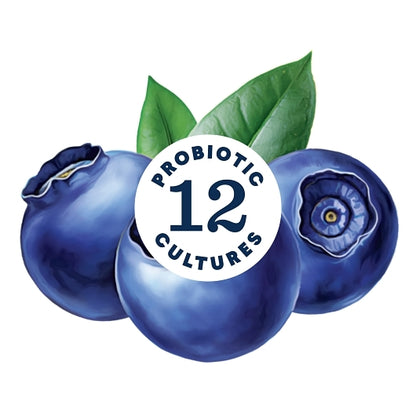 Lifeway KEFIR BLUEBERRY LOW FAT YOGURT LIKE, 6 x 8 fl oz Case - DOT product image 5