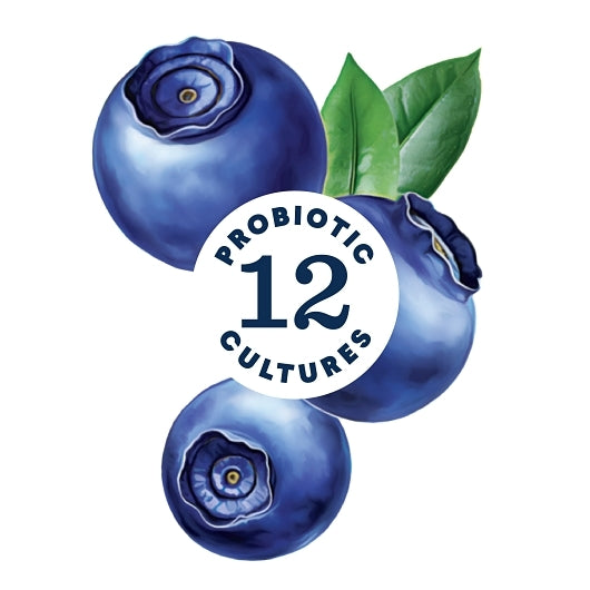 Lifeway Low Fat Blueberry Kefir, 6 x 32 fl oz Case - DOT product image 5