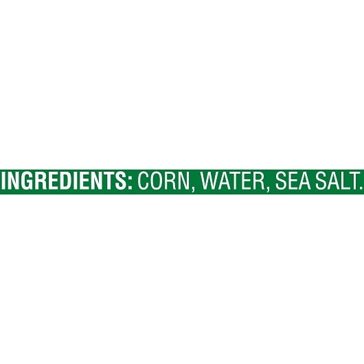 Del Monte Whole Kernel Corn, 24 x 15.25 oz Case - DOT product image 3