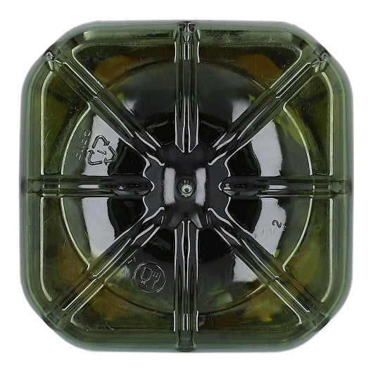 Colavita Grapeseed Oil Plastic Jug, 6 x 1 GA Case - DOT product image 7
