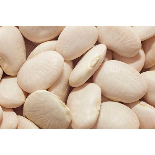 Commodity Canned Fruit Fancy Butterbeans In Sauce, 6 x 108 oz Case - Beans & Legumes