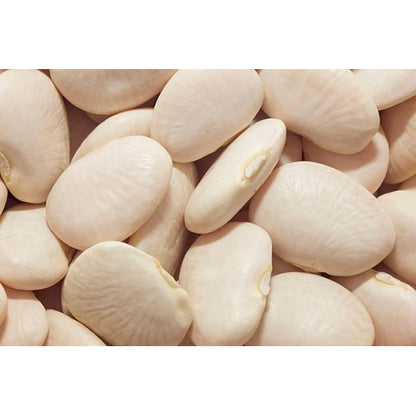 Commodity Canned Fruit Fancy Butterbeans In Sauce, 6 x 108 oz Case - Beans & Legumes