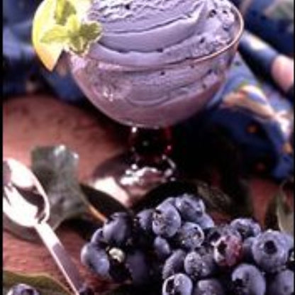 Fruit in Hand Velvet Blueberry Puree, 6 x 32 fl oz Case - DOT product image 5