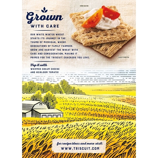 Nabisco Original Crackers, 12 x 12.5 oz Case - DOT product image 7