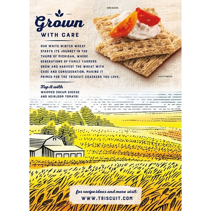 Nabisco Original Crackers, 12 x 12.5 oz Case - DOT product image 7
