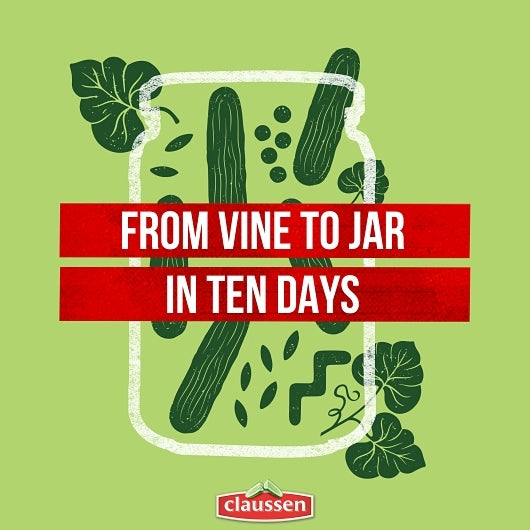 Claussen Kosher Dill Mini Pickle Mini Jar, 12 x 591 ML Case - DOT product image 7
