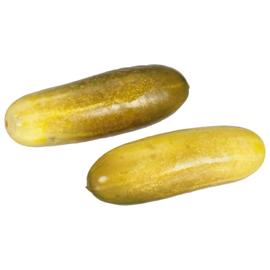 Claussen Kosher Dill Pickle Whole Bulk, 1 x 5 GA Case - DOT product image 2