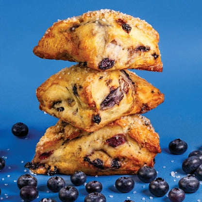 Davids Cookies Frozen Individual Quick Frozen Blueberry Scone, 1 x 4 oz Case - DOT product image 7