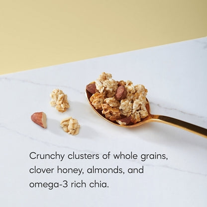 Nature?s Path Honey Gluten-Free Honey Almond Granola, 8 x 11 oz Case - DOT product image 7