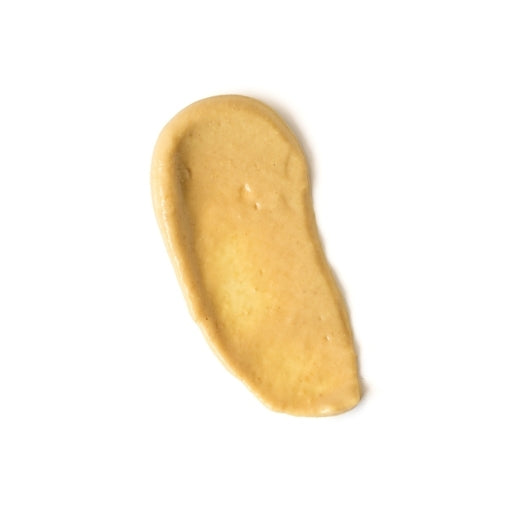 Plochmans Premium Dijon Mustard Bulk, 2 x 1 GA Case - DOT product image 3