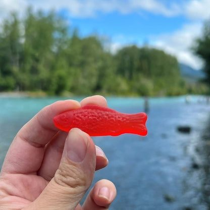 Swedish Fish Red Gummy Candy Peg Bag, 12 x 8 oz Case - DOT product image 8