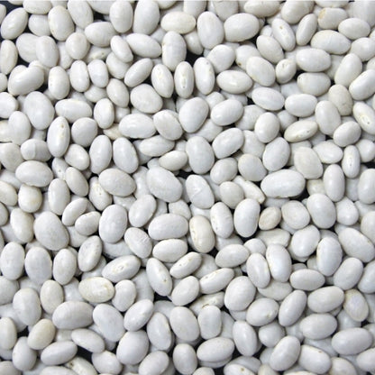 Jack Rabbit Navy Beans, 1 x 20 lb Case - Beans & Legumes