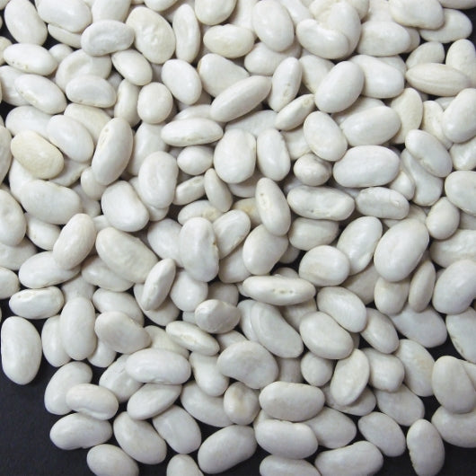 Jack Rabbit Great Northern Beans, 1 x 20 lb Case - Beans & Legumes
