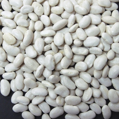 Jack Rabbit Great Northern Beans, 1 x 20 lb Case - Beans & Legumes